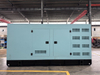 Generator Diesel 200kw 250kw Groupe Electrogene Silencieuse Three Phase Genset 250kva 300kva Silence Silent Diesel Generator Set