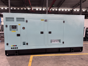 Generator Diesel 200kw 250kw Groupe Electrogene Silencieuse Three Phase Genset 250kva 300kva Silence Silent Diesel Generator Set
